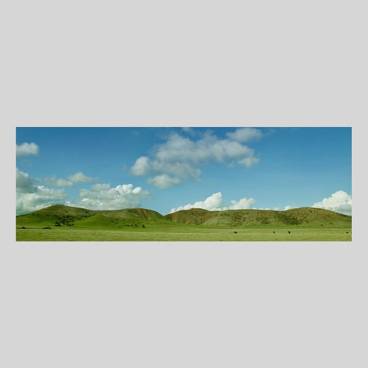 IGREBOW ニューカレドニア グランドテール島中部 放牧の風景｜[ウッド 1×3] アイグレボウ インテリアフォト ピクチャーアート 写真