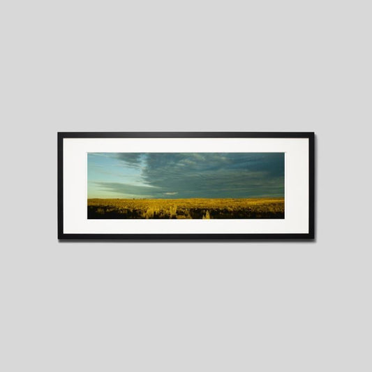 IGREBOW オーストラリア ノーザンテリトリー草原の夕景 ビッグサイズ｜[ウッド 1×3] アイグレボウ インテリアフォト ピクチャーアート 写真