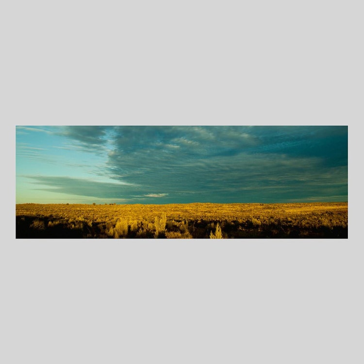 IGREBOW オーストラリア ノーザンテリトリー草原の夕景｜[アルミ 1×3] アイグレボウ インテリアフォト ピクチャーアート 写真