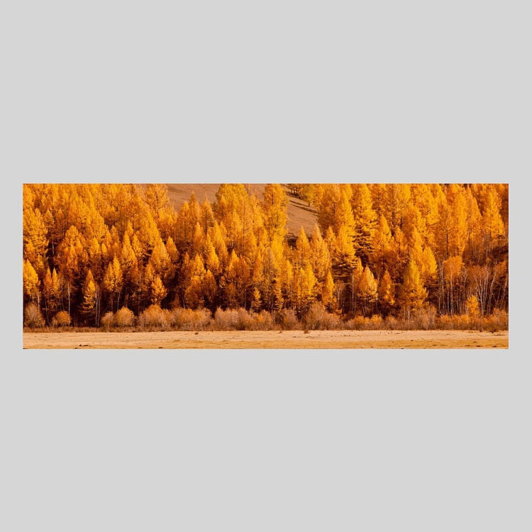 IGREBOW モンゴル テレルジ 紅葉の森｜[ウッド 1×3] アイグレボウ インテリアフォト ピクチャーアート 写真