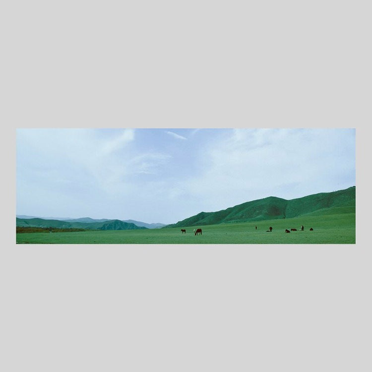 IGREBOW モンゴル テレルジ 草原と馬 ビッグサイズ｜[ウッド 1×3] アイグレボウ インテリアフォト ピクチャーアート 写真