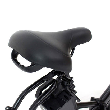 [電動アシスト自転車] ACTIVE PLUS アクティブプラス 20インチ ノーパンク電動アシスト FDB20EB マットブラック MG-AP20EBN 送料無料 (北海道・沖縄・離島別送料) 60