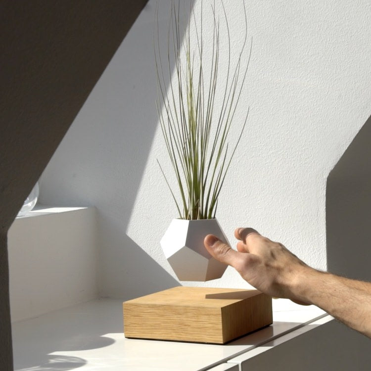 FLYTE フライトライフ｜宙に浮かぶ 回るプランター ポット 北欧スウェーデン デザインインテリア ガーデン LYFE