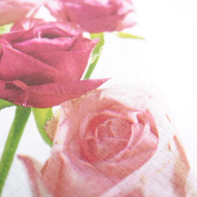 ランチナプキン(20枚入)33×33cm PAPER+DESIGN ローズ ピンク×ホワイト LN0325 [在庫有り]