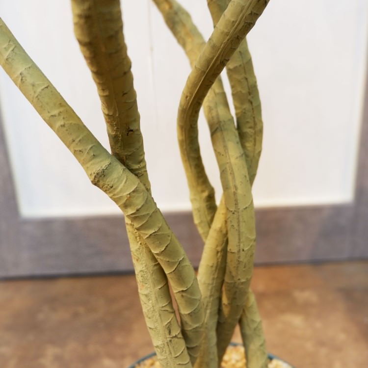 ユッカポット114cm｜F4186 アーティフィシャルグリーン 人工観葉植物 人工樹木 簡易鉢付きグリーン