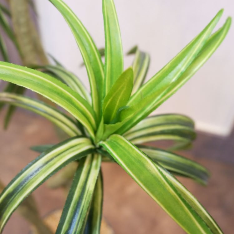 ユッカポット114cm｜F4186 アーティフィシャルグリーン 人工観葉植物 人工樹木 簡易鉢付きグリーン