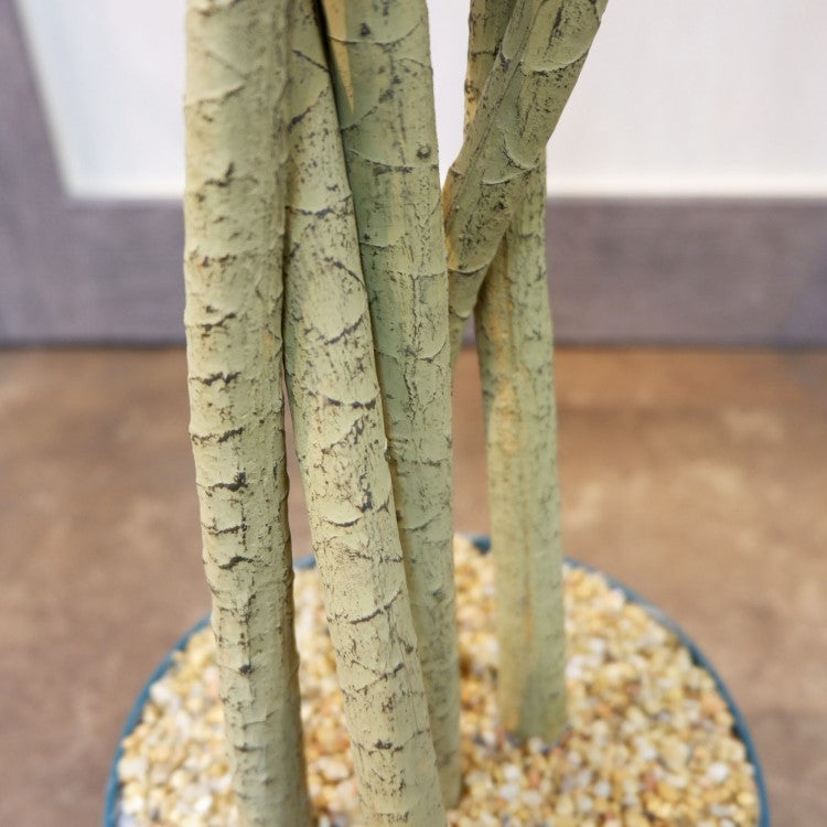 ユッカポット156cm｜F4187 アーティフィシャルグリーン 人工観葉植物 人工樹木 簡易鉢付きグリーン