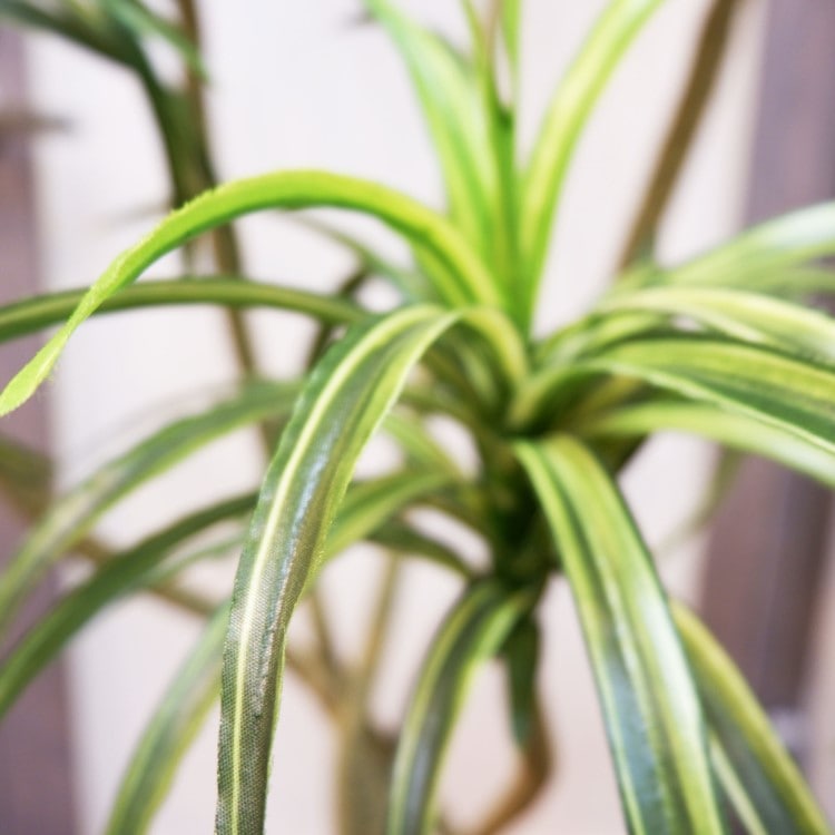ユッカポット156cm｜F4187 アーティフィシャルグリーン 人工観葉植物 人工樹木 簡易鉢付きグリーン