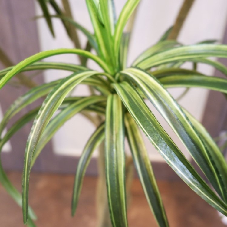 ユッカポット156cm｜F4187 アーティフィシャルグリーン 人工観葉植物 人工樹木 簡易鉢付きグリーン