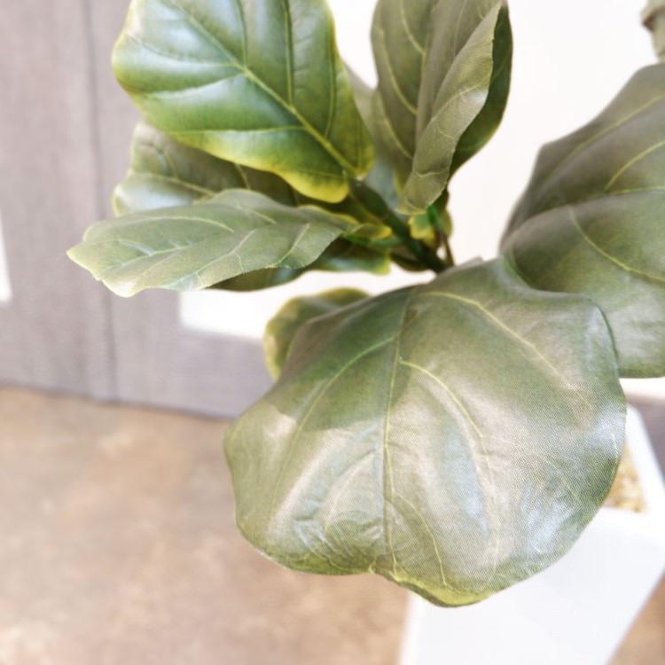 カシワバゴムポット100cm｜F5018 アーティフィシャルグリーン 人工観葉植物 人工樹木 簡易鉢付きグリーン