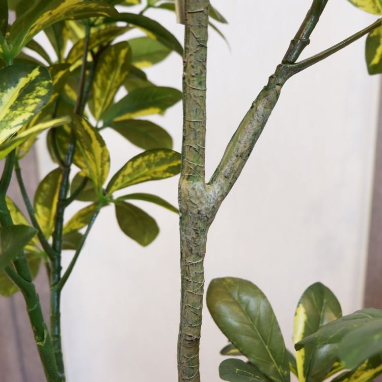 カポックポット130cm｜F5019 アーティフィシャルグリーン 人工観葉植物 人工樹木 簡易鉢付きグリーン