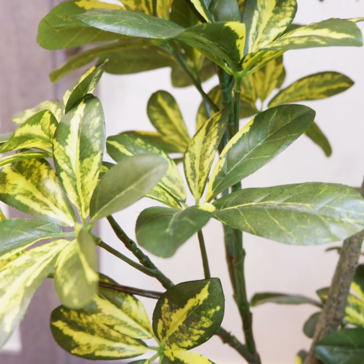 カポックポット130cm｜F5019 アーティフィシャルグリーン 人工観葉植物 人工樹木 簡易鉢付きグリーン