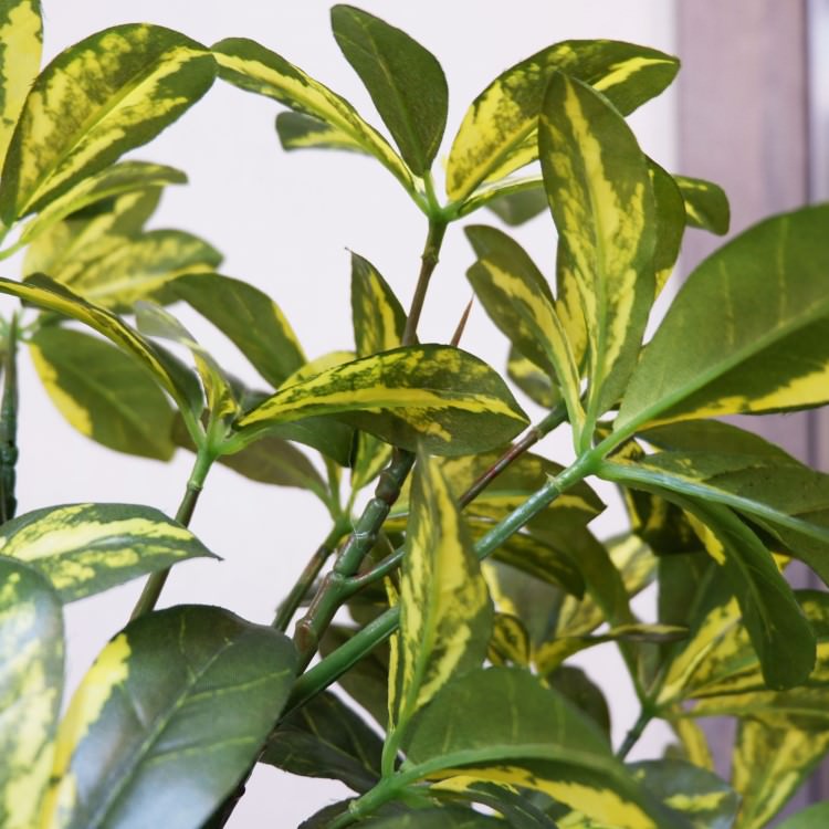 カポックポット130cm｜F5019 アーティフィシャルグリーン 人工観葉植物 人工樹木 簡易鉢付きグリーン