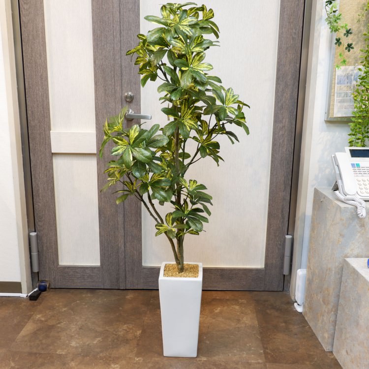 カポックポット130cm｜F5019 アーティフィシャルグリーン 人工観葉植物 人工樹木 簡易鉢付きグリーン