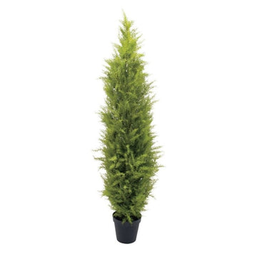 ゴールドクレストポット(XL)180cm｜FD3166 アーティフィシャルグリーン 人工観葉植物 人工樹木 簡易鉢付きグリーン