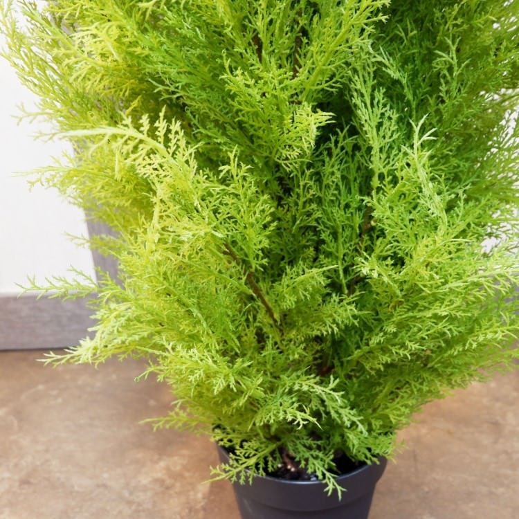 ゴールドクレストポット(XL)180cm｜FD3166 アーティフィシャルグリーン 人工観葉植物 人工樹木 簡易鉢付きグリーン