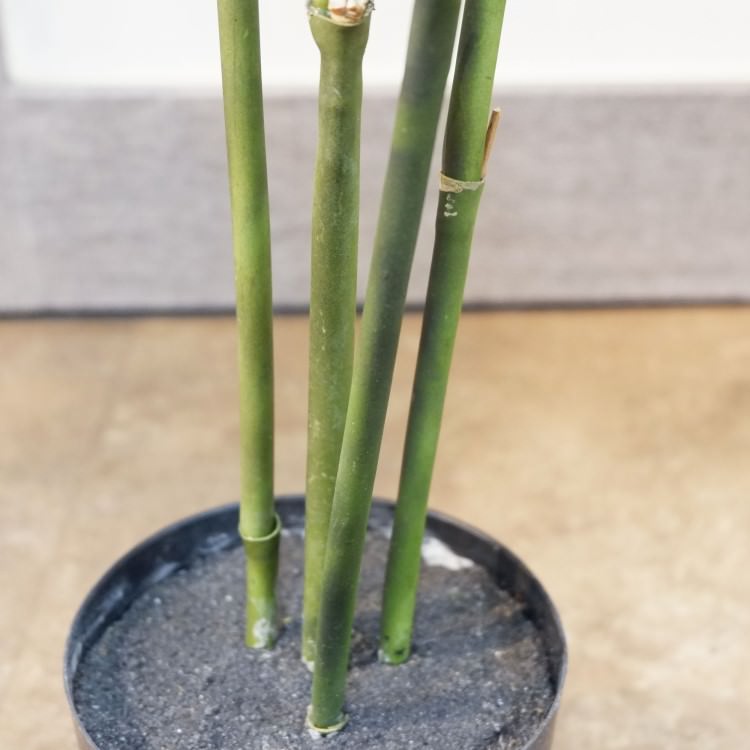 バンブーポット152cm｜FD3626 アーティフィシャルグリーン 人工観葉植物 人工樹木 簡易鉢付きグリーン
