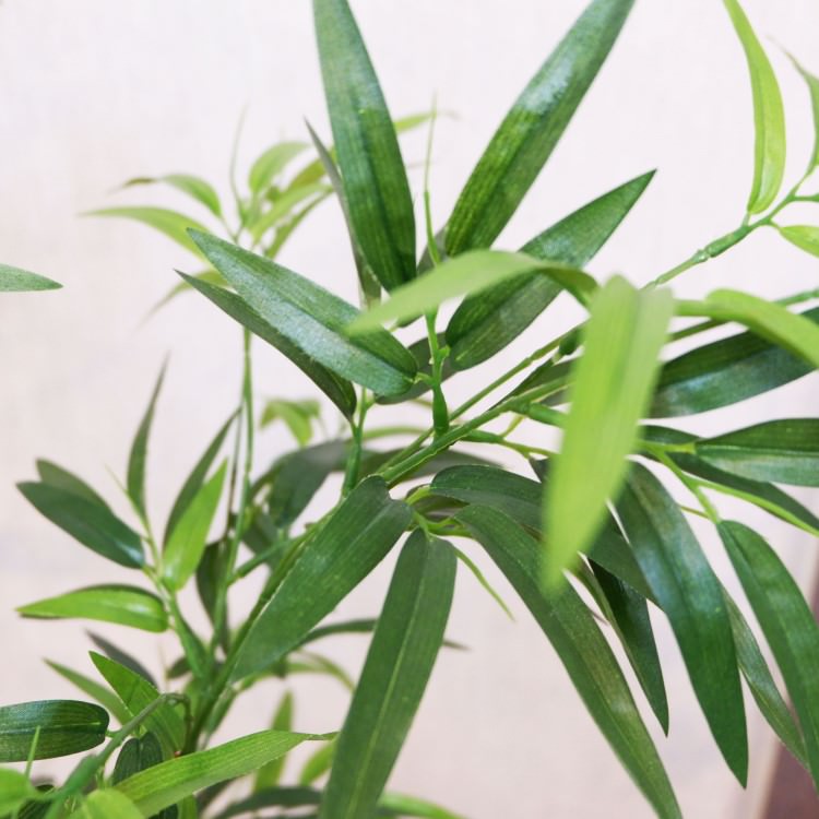 バンブーポット152cm｜FD3626 アーティフィシャルグリーン 人工観葉植物 人工樹木 簡易鉢付きグリーン