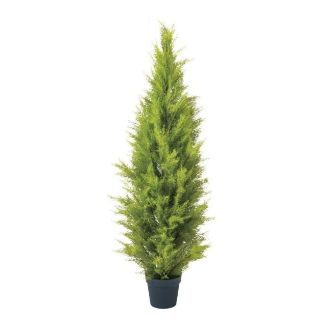 ゴールドクレストポット(L)150cm｜FD3704 アーティフィシャルグリーン 人工観葉植物 人工樹木 簡易鉢付きグリーン
