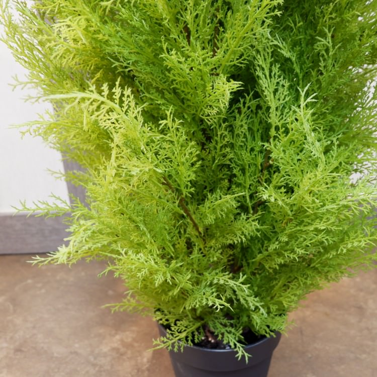 ゴールドクレストポット(L)150cm｜FD3704 アーティフィシャルグリーン 人工観葉植物 人工樹木 簡易鉢付きグリーン