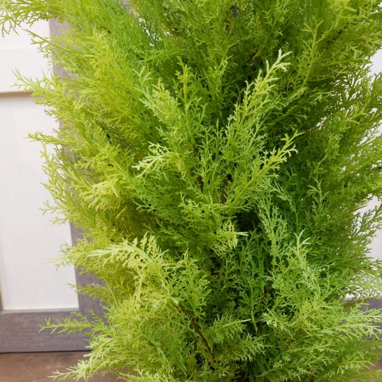 ゴールドクレストポット(L)150cm｜FD3704 アーティフィシャルグリーン 人工観葉植物 人工樹木 簡易鉢付きグリーン