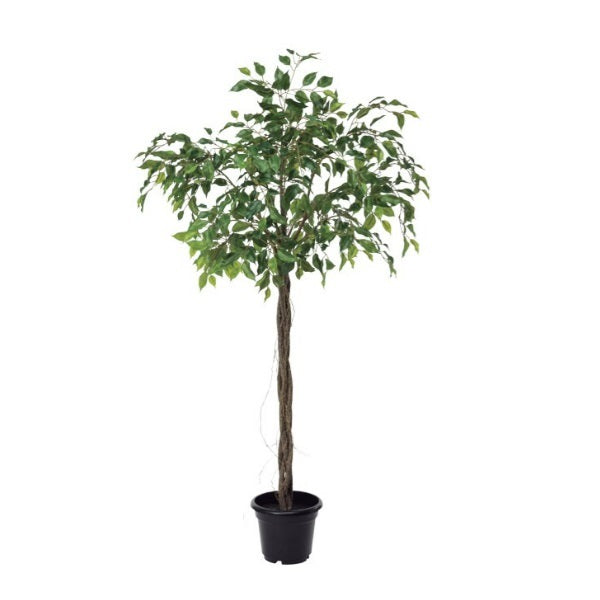 ファイカスポット124cm｜P4791 アーティフィシャルグリーン 人工観葉植物 人工樹木 簡易鉢付きグリーン