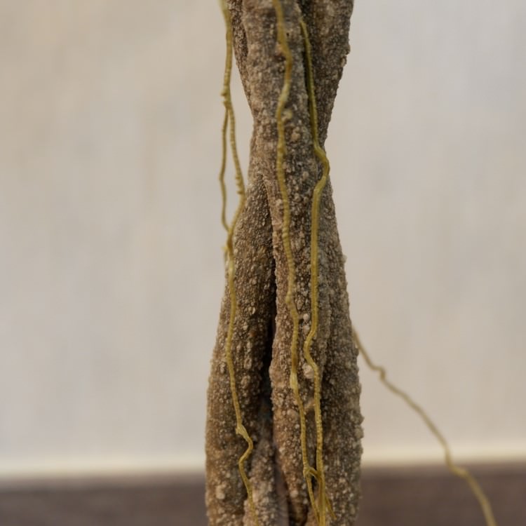 ファイカスポット124cm｜P4791 アーティフィシャルグリーン 人工観葉植物 人工樹木 簡易鉢付きグリーン
