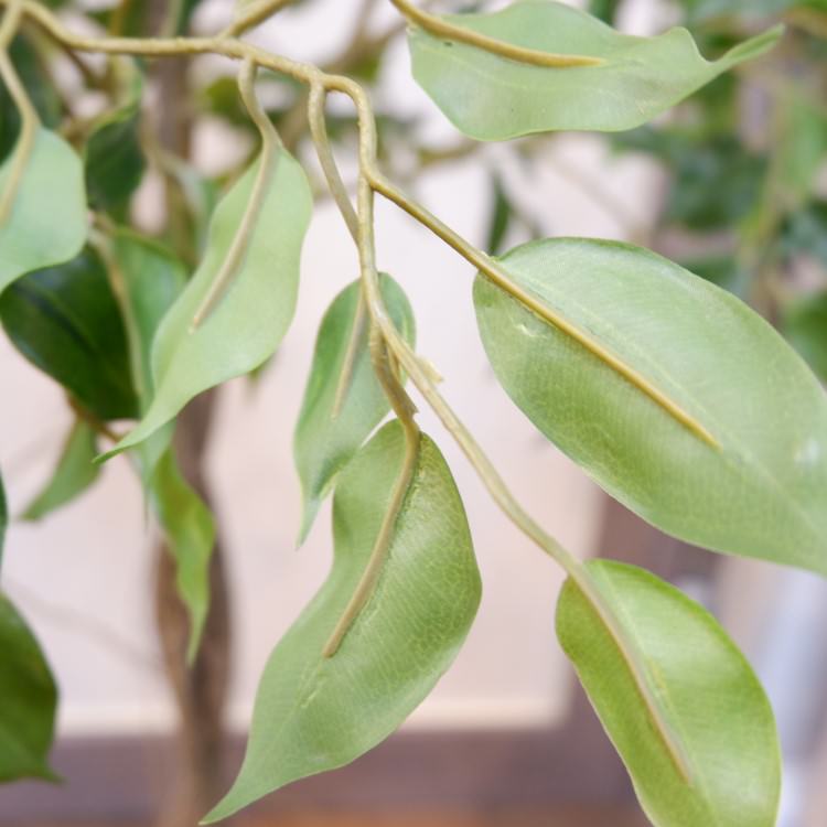 ファイカスポット124cm｜P4791 アーティフィシャルグリーン 人工観葉植物 人工樹木 簡易鉢付きグリーン