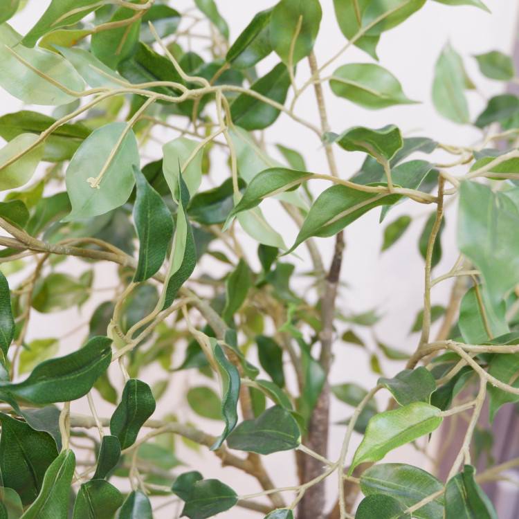 ファイカスポット124cm｜P4791 アーティフィシャルグリーン 人工観葉植物 人工樹木 簡易鉢付きグリーン