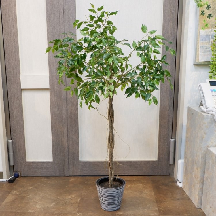 ファイカスポット124cm｜P4791 アーティフィシャルグリーン 人工観葉植物 人工樹木 簡易鉢付きグリーン
