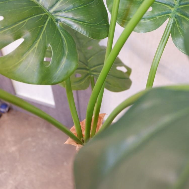 モンステラポット152cm｜P4810 アーティフィシャルグリーン 人工観葉植物 人工樹木 簡易鉢付きグリーン
