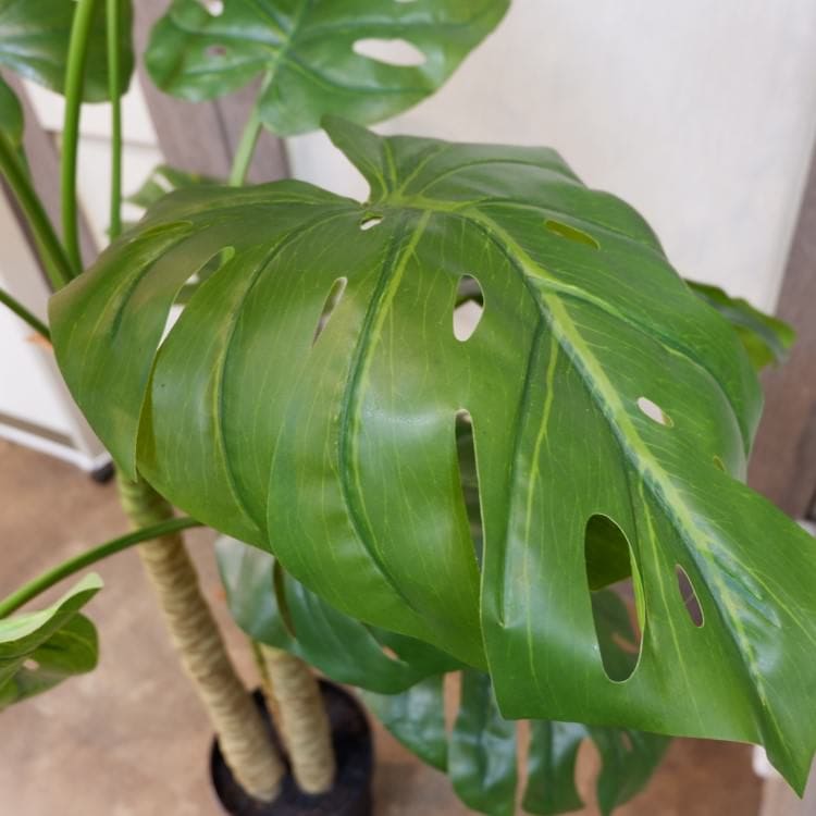 モンステラポット152cm｜P4810 アーティフィシャルグリーン 人工観葉植物 人工樹木 簡易鉢付きグリーン