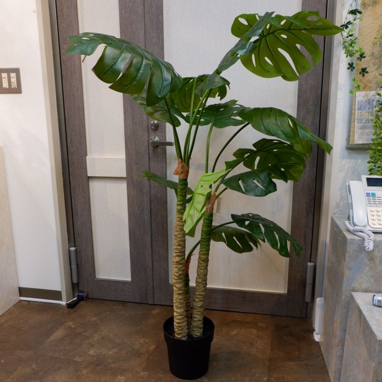 モンステラポット152cm｜P4810 アーティフィシャルグリーン 人工観葉植物 人工樹木 簡易鉢付きグリーン