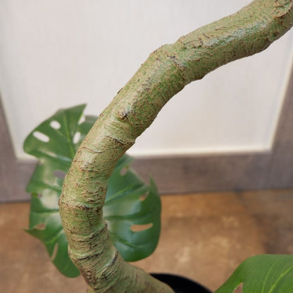 ツイストモンステラポット152cm｜P4820 アーティフィシャルグリーン 人工観葉植物 人工樹木 簡易鉢付きグリーン