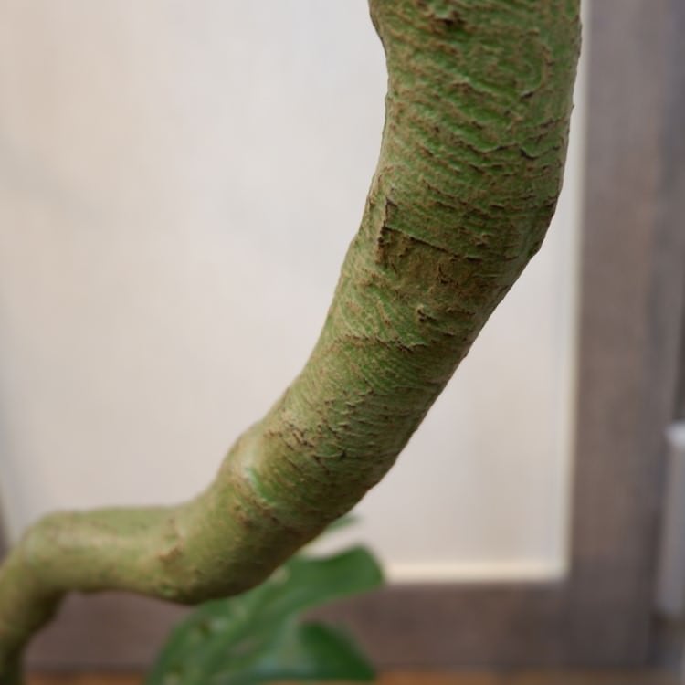ツイストモンステラポット152cm｜P4820 アーティフィシャルグリーン 人工観葉植物 人工樹木 簡易鉢付きグリーン