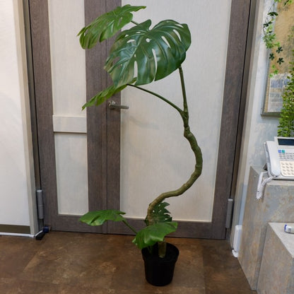 ツイストモンステラポット152cm｜P4820 アーティフィシャルグリーン 人工観葉植物 人工樹木 簡易鉢付きグリーン