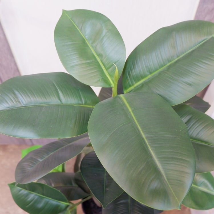 ラバーポット95cm｜P4858 アーティフィシャルグリーン 人工観葉植物 人工樹木 簡易鉢付きグリーン