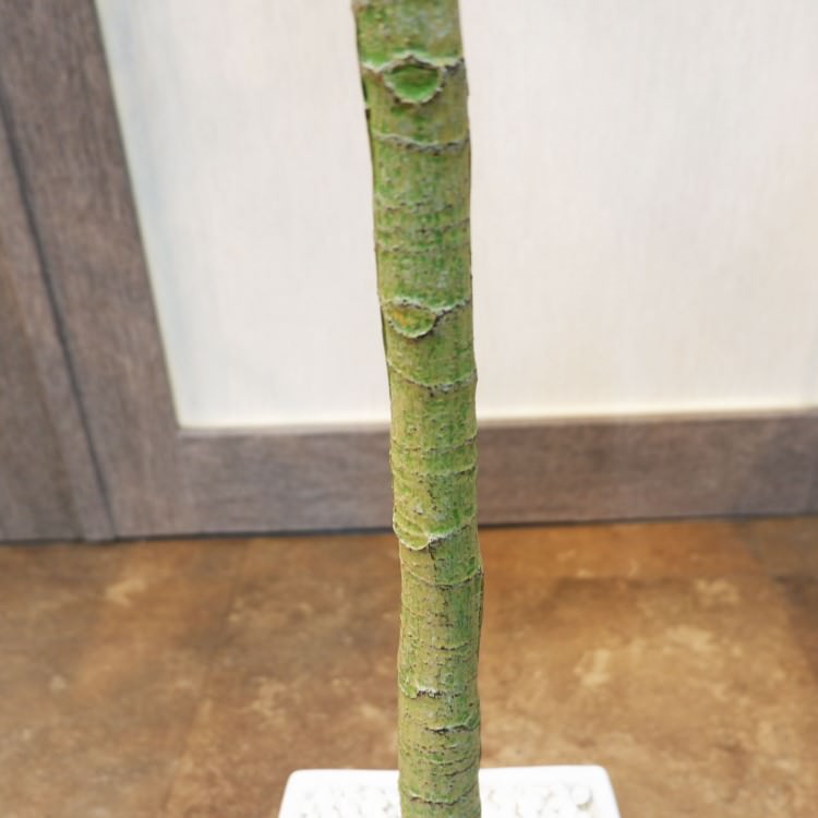パキラポット142cm｜V22106 アーティフィシャルグリーン 人工観葉植物 人工樹木 簡易鉢付きグリーン