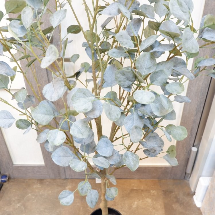 丸葉ユーカリポット(組立式)152cm｜VR22006 アーティフィシャルグリーン 人工観葉植物 人工樹木 簡易鉢付きグリーン