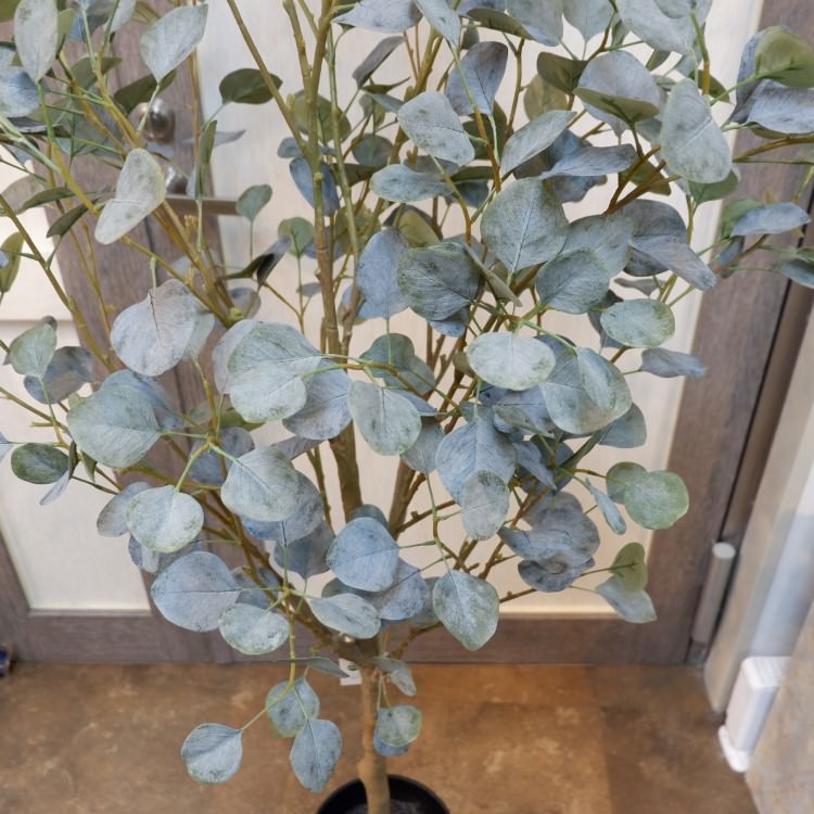 丸葉ユーカリポット(組立式)152cm｜VR22006 アーティフィシャルグリーン 人工観葉植物 人工樹木 簡易鉢付きグリーン