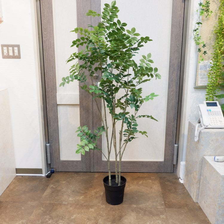 トネリコポット152cm｜VR22020 アーティフィシャルグリーン 人工観葉植物 人工樹木 簡易鉢付きグリーン