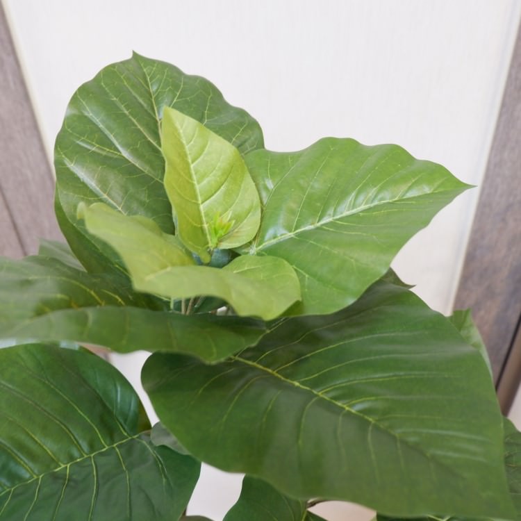 ツイストウンベラータポット152cm｜VR22022 アーティフィシャルグリーン 人工観葉植物 人工樹木 簡易鉢付きグリーン