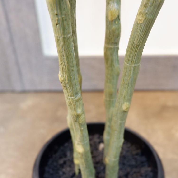 ウンベラータポット117cm｜VR22024 アーティフィシャルグリーン 人工観葉植物 人工樹木 簡易鉢付きグリーン