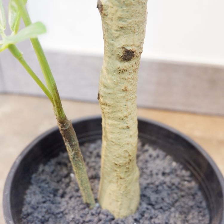 パキラポット117cm｜VR22026 アーティフィシャルグリーン 人工観葉植物 人工樹木 簡易鉢付きグリーン