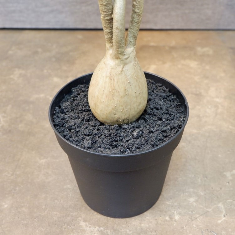 ツイストパキラポット89cm｜VR22027 アーティフィシャルグリーン 人工観葉植物 人工樹木 簡易鉢付きグリーン