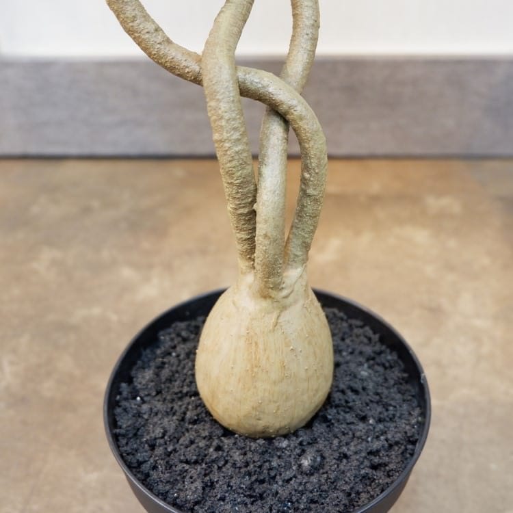 ツイストパキラポット89cm｜VR22027 アーティフィシャルグリーン 人工観葉植物 人工樹木 簡易鉢付きグリーン