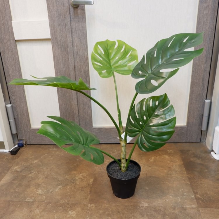 モンステラポット71cm｜VR22028 アーティフィシャルグリーン 人工観葉植物 人工樹木 簡易鉢付きグリーン