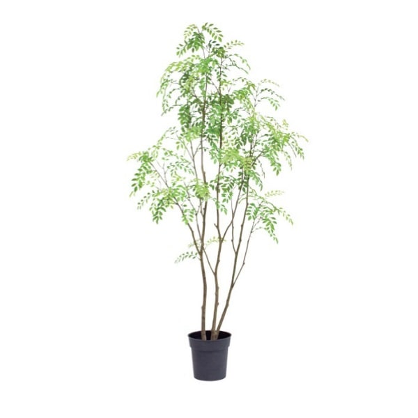 シマトネリコポット152cm｜VR22029 アーティフィシャルグリーン 人工観葉植物 人工樹木 簡易鉢付きグリーン