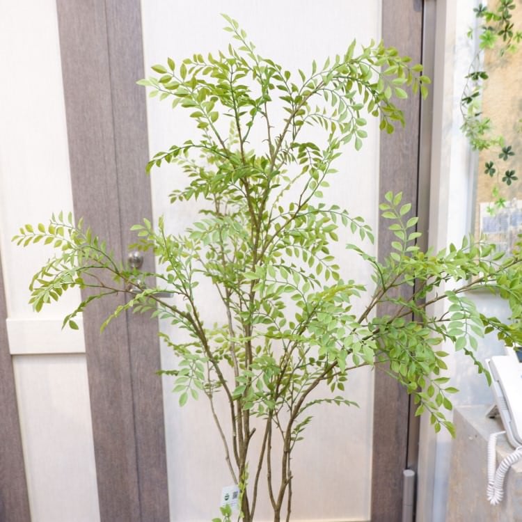 シマトネリコポット152cm｜VR22029 アーティフィシャルグリーン 人工観葉植物 人工樹木 簡易鉢付きグリーン