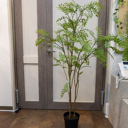 シマトネリコポット152cm｜VR22029 アーティフィシャルグリーン 人工観葉植物 人工樹木 簡易鉢付きグリーン